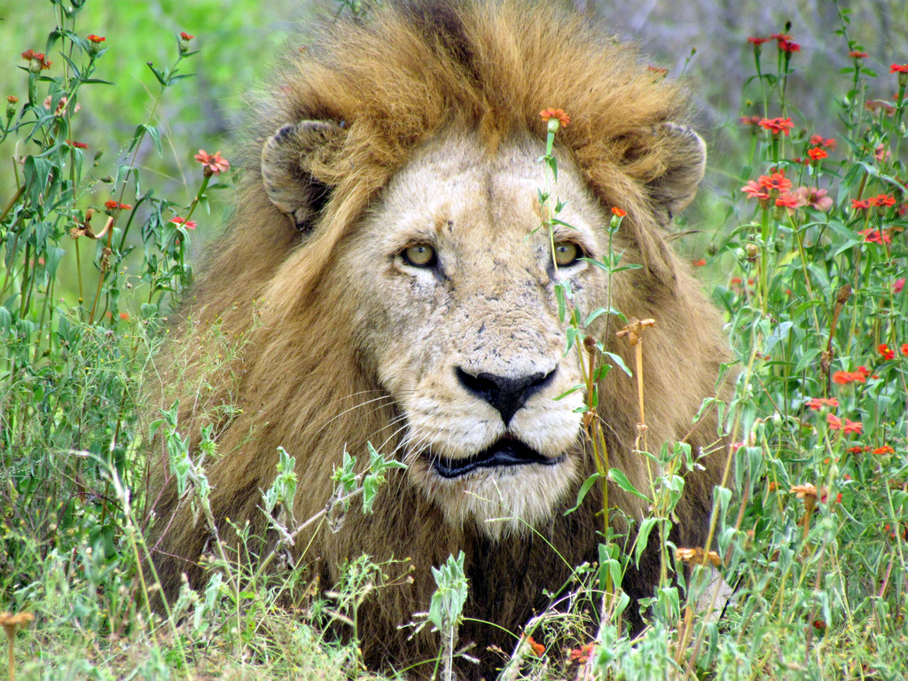 TEFL teaching in South Africa