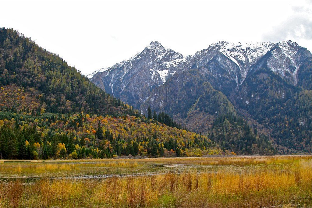 TEFL countries for the autumn