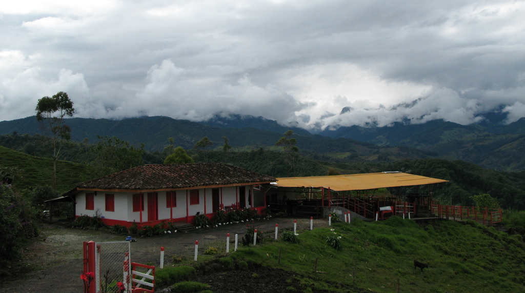 5 TEFL destinations for coffee lovers