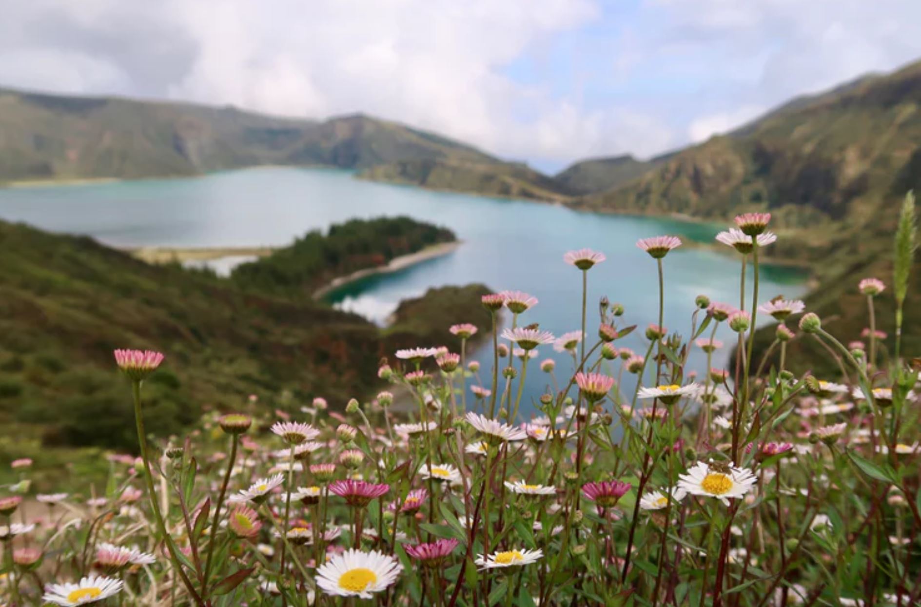 Amazing places you have to visit when teaching English in Portugal