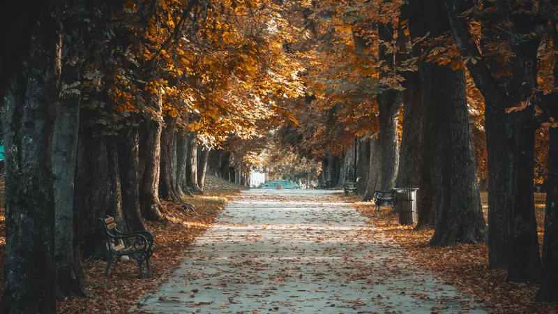 Teaching Requirements Croatia