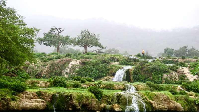 Salalah Green Season